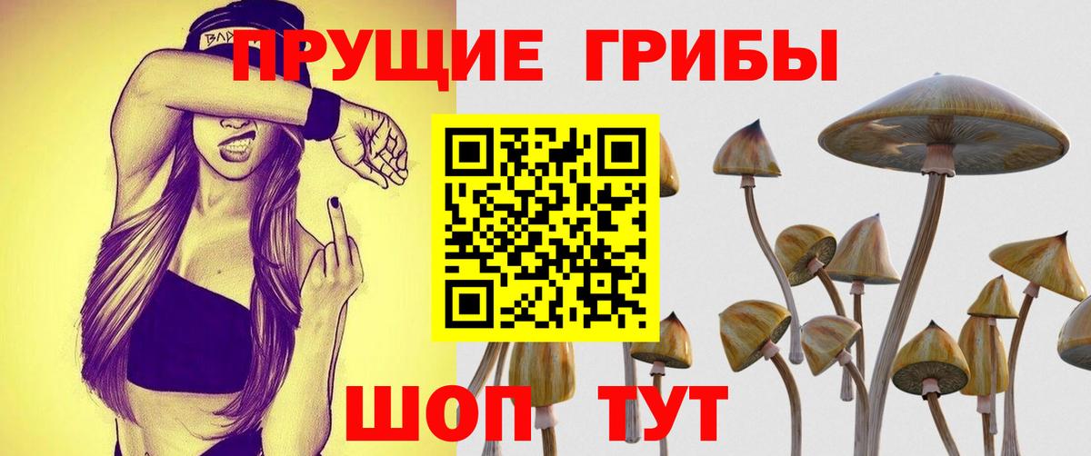 Псилоцибиновые грибы мухоморы Тосно
